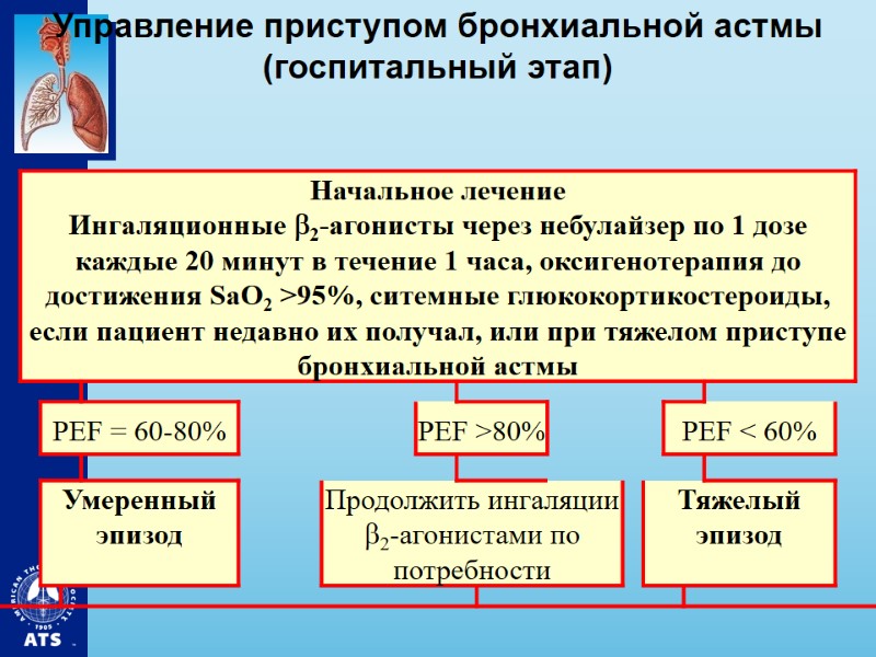 Управление приступом бронхиальной астмы (госпитальный этап)